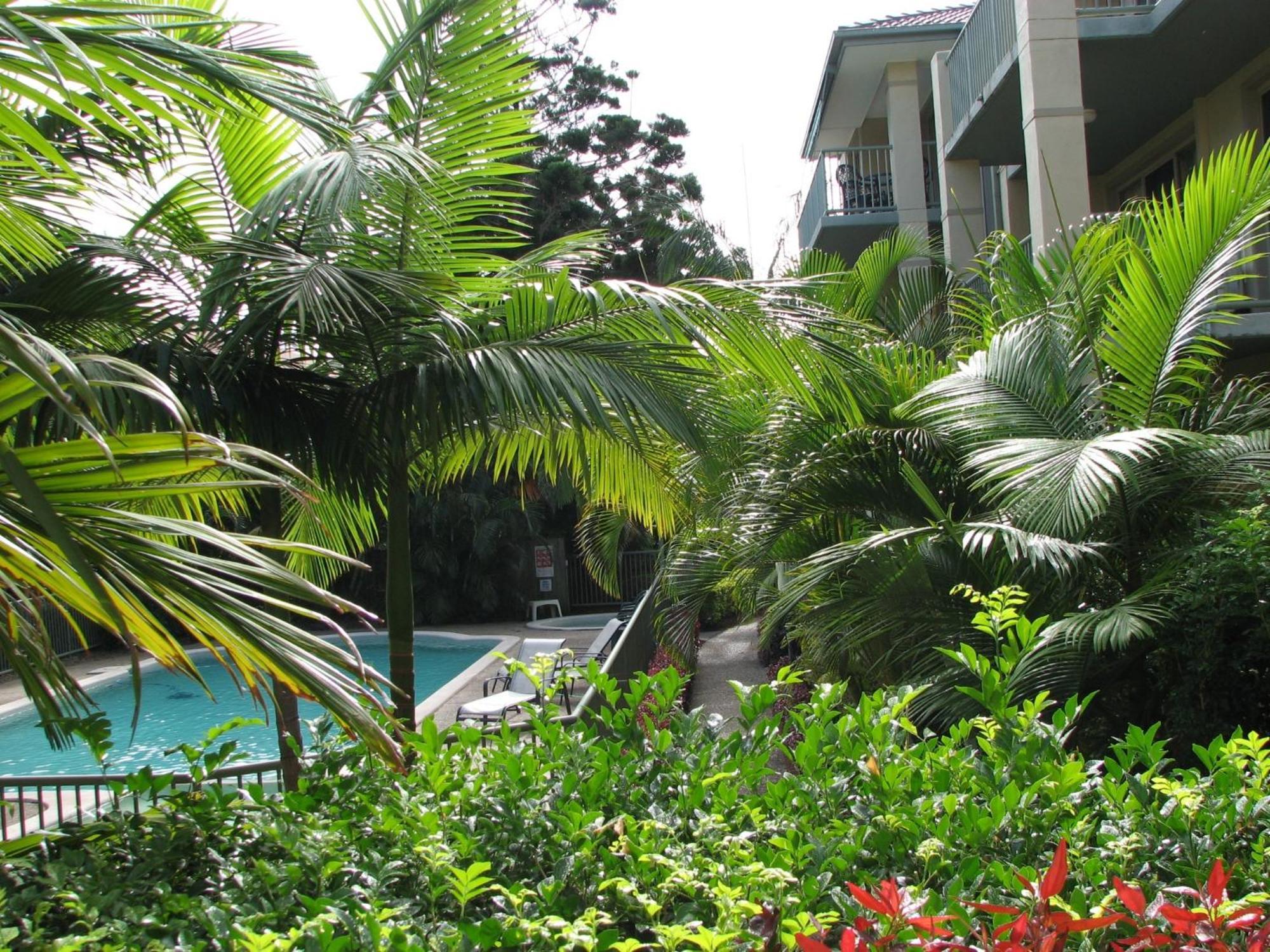 גולד קוסט Bila Vista Kirra Beachside Apartments מראה חיצוני תמונה